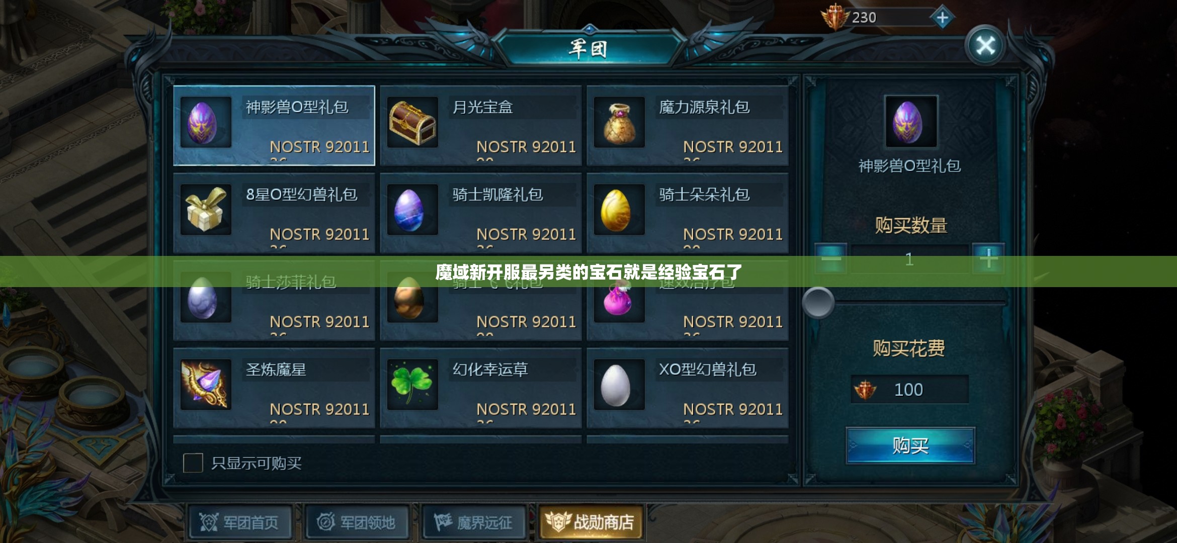 魔域新开服最另类的宝石就是经验宝石了